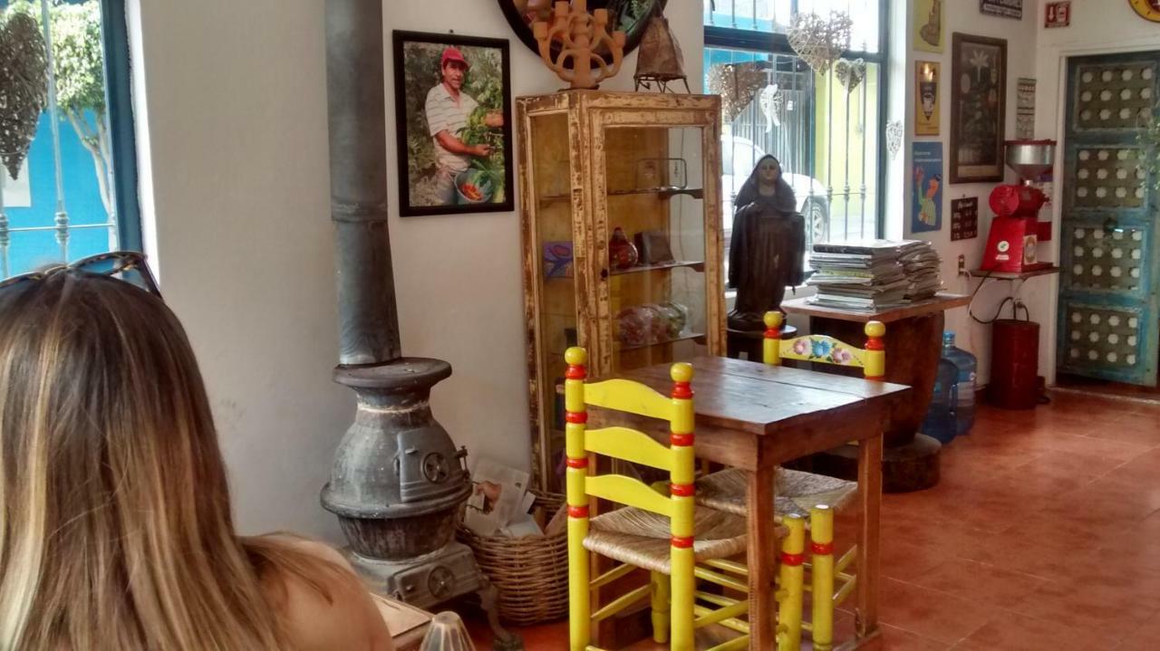 Hostal El Cascabel Cholula Luaran gambar